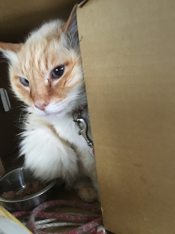 5A8AEF68-0FC3-4C9B-9D0F-D8B6305E345B