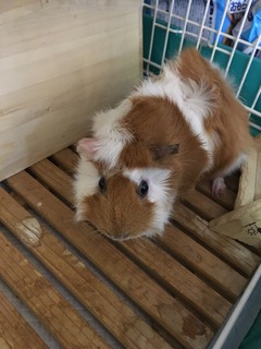 47EAB059-0EBA-42D8-9696-537F7BF14794