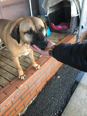 4056383F-3927-4445-AA86-6B3FC3FC9C14