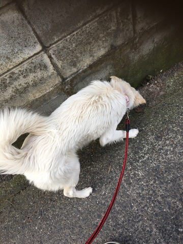 F81C2346-5DDB-4AB5-85B1-4BA56038FA97