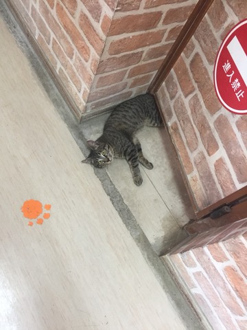 FFDD69C8-AF5E-48FD-9081-DBF4C25BD2CA