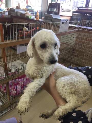 771AFC39-1FD6-4350-9263-BC54FD3EF377