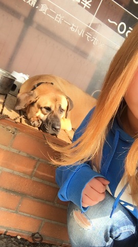 6C6EF90B-AA9D-493A-875C-0D7AF14001FE