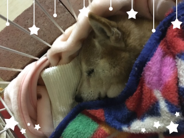 7FC1D32D-AA55-4D32-A875-D07407187F05