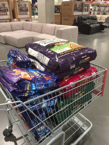 919F6D40-A82B-4A4E-98B0-563F156EFFE8