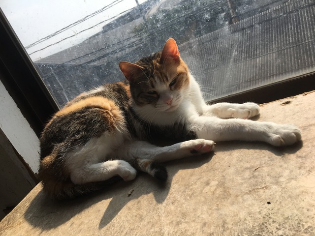 F43DB351-623C-4A73-9EED-4F7DBB20BA5E