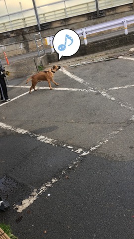 FFB08D44-3CBB-4DB0-9484-9754728FA115