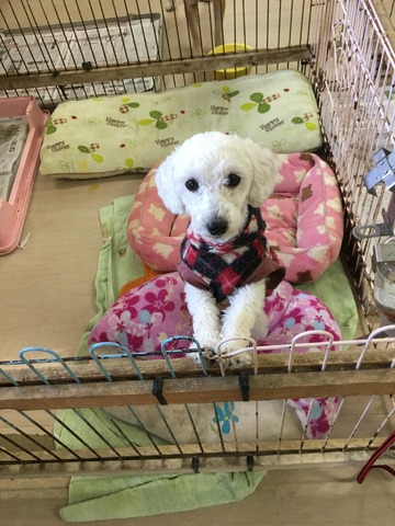 9E5DC641-4110-4F7C-AFC3-05E6C33E1F52