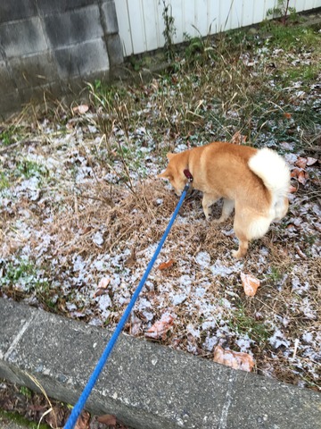 9CE24A2D-ECB3-42C2-9ECC-87EEE8993542