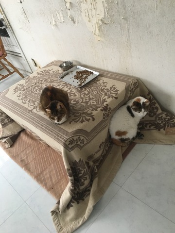 97812FFA-E500-4198-A0E9-5D7CB4AD8BAF