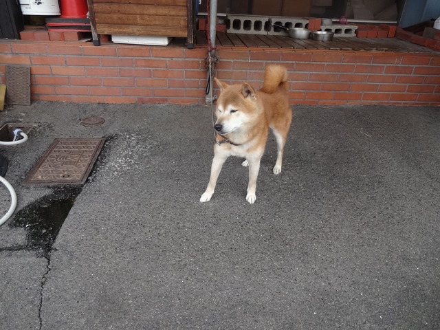 DSC02485