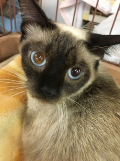 0B67B208-6157-4173-B81D-817E3B5DF51D