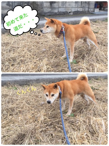 4734BD8F-D6FA-4F81-A43F-5C888C3CDDBC