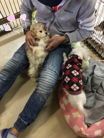 C448CCF4-5DD2-4A09-868B-20793B2E52C5