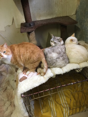 D8DB8687-D098-4336-9A95-878E31279D3D