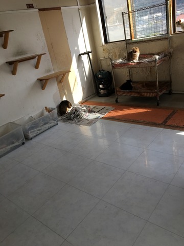 BCDA1D52-D2B8-4B75-A457-FD738BFF3729