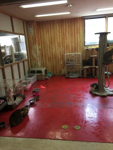 B528F09F-D44E-45D6-8641-0CD22195CB2D