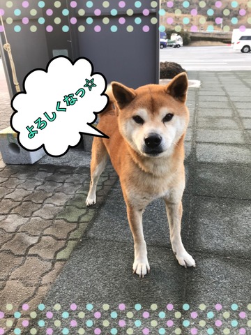 4CDCCBDF-742B-4203-8FED-6754D9AB3711