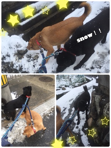 735D6EF5-A4E6-4E53-BE01-E1024D553EFE