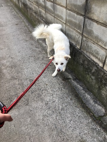 43D570F7-5375-4931-81FD-E8C4EA007350