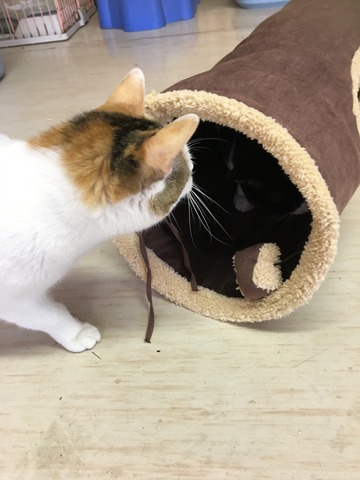 22CF717F-8CE6-49CD-ABFA-8761FAFA14E8