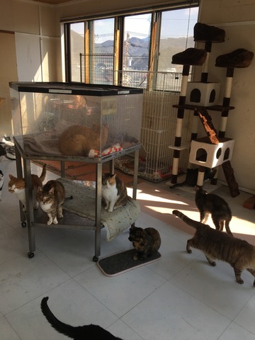 954F863A-0DAE-443C-BCC7-1B4226A367A2