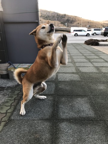 31DC350C-B3BF-4D7D-80E2-755585FB6B2F