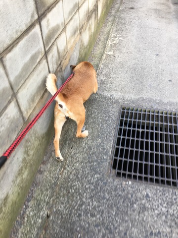 A8E8EE00-B2FC-4E9F-B708-3E8C9CA8310C