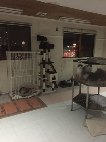 AE8317C0-DE21-4BA3-A7D1-6417A8AF4AC7