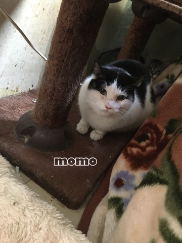 5998EE92-284F-4AD9-B65C-A9F0D039990B