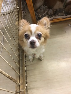 0AC7D6AF-96E8-4D2E-B13F-EA638CB06052