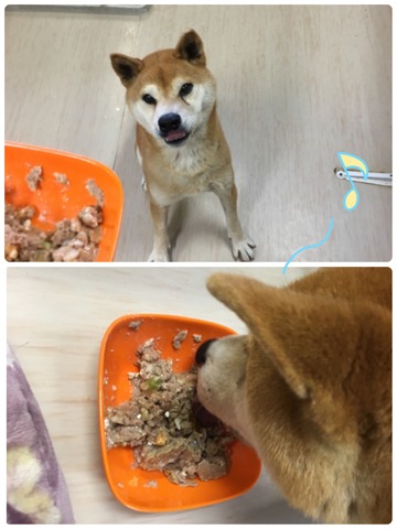 D05F48A3-1BD4-4188-9278-26AD6C2A16EF