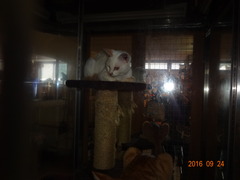 DSC06029