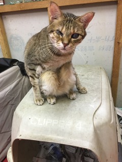 9549488D-5F49-4719-BE38-1FFC0B09898B