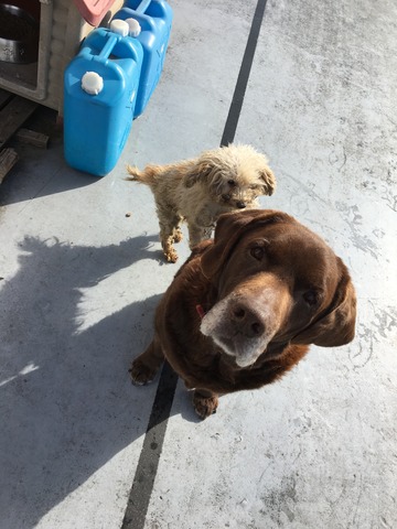 0E03DA7C-A713-4636-8A0A-AC205CA6FD3F