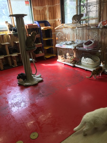 7A50B43E-E1BA-4DCA-84F9-1DDDA8EF284B