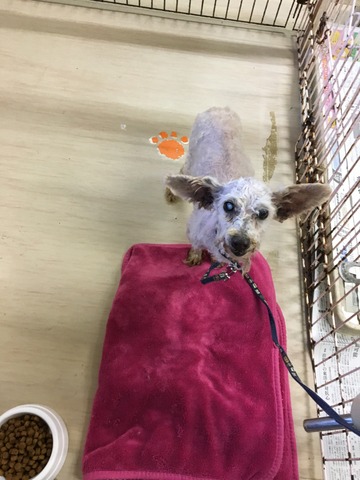 D4AE998C-2CA4-432B-92D0-67F7BDEDF38A