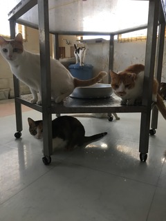 F22B5527-33BC-4D18-9DF7-EE3E8A0064EB