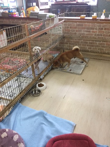 73D1C6FA-87F6-4790-B2FA-A6C67A9A9659