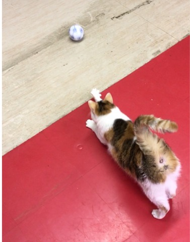 4F690F37-F797-4930-903B-6B12910B093F