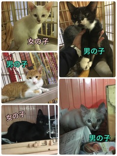 3F1C355E-D23C-4A87-B9D5-FDA29FD9B5E8