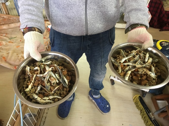 6C35C96B-D4A5-41E2-988C-A899384D43D2