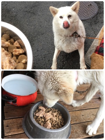 4D81E17E-DA1C-411D-93D5-B575B83F9D62