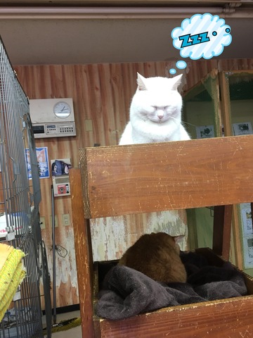 00550A91-9CB7-4885-93BA-E8E9149ED1D9