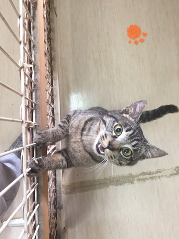 D5E15B0E-03C6-4A59-A5AD-24298AD27793