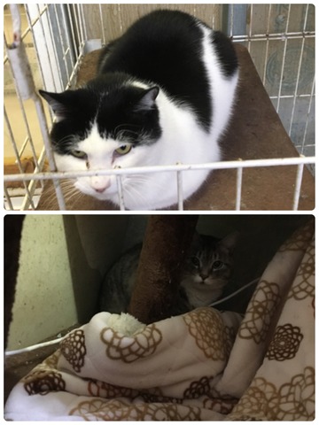 9D14C5E6-E636-44DF-BC76-1674F8071DFD