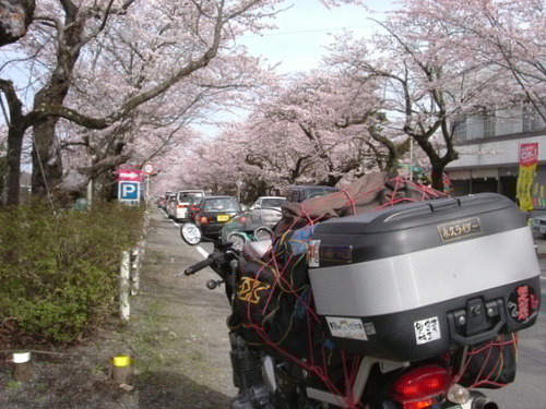 tomioka260