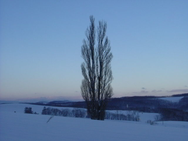 biei553