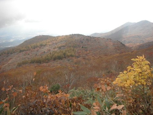 DSCF12071