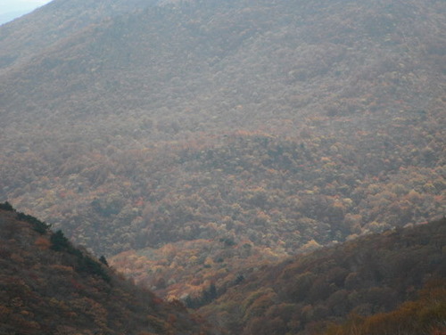 DSCF12061